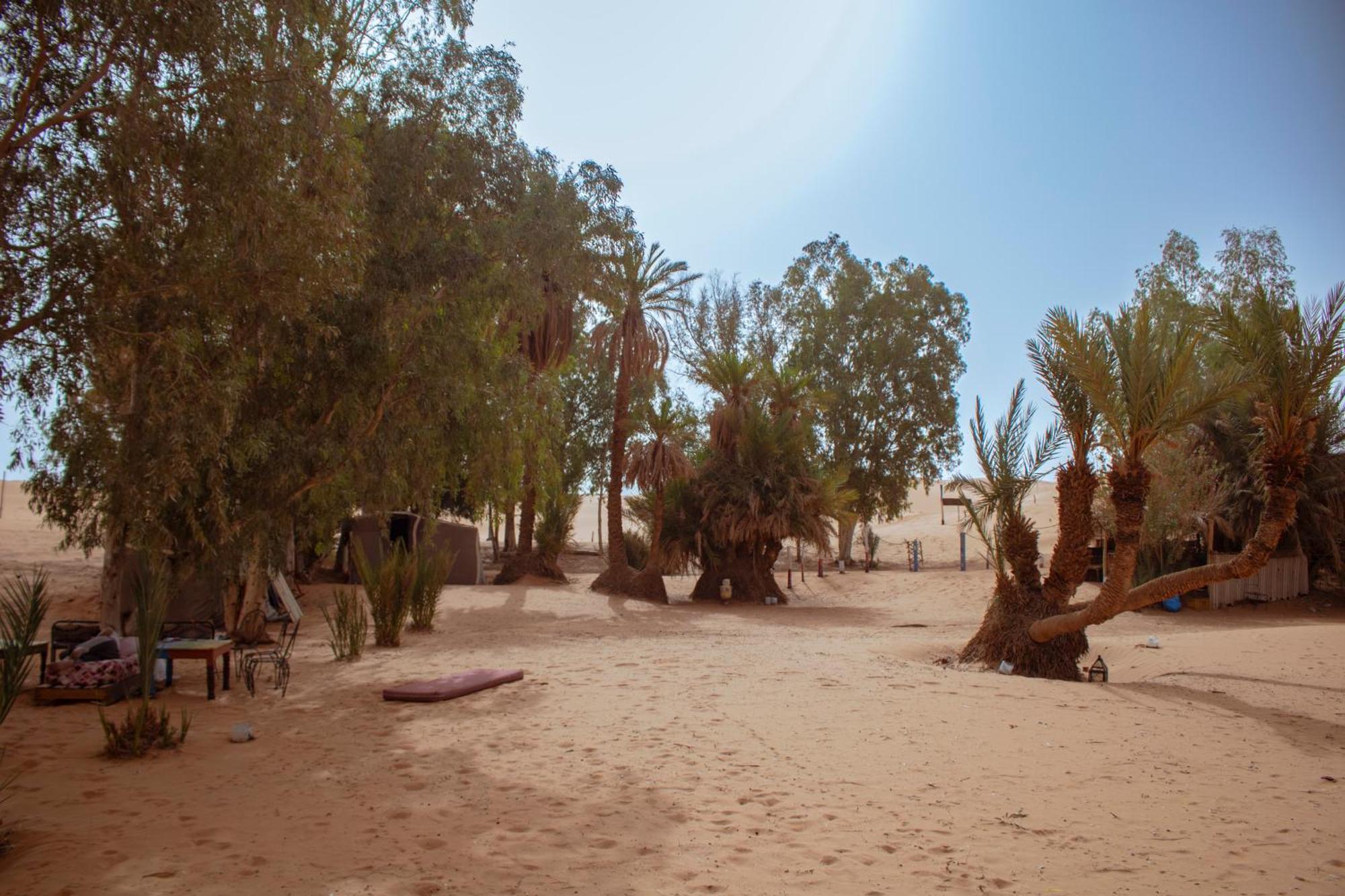Oasis Desert Camp Obira 梅尔祖卡 外观 照片